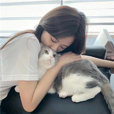 爱情公寓2